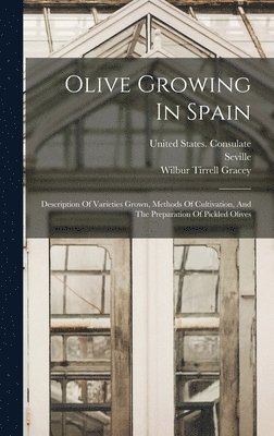Olive Growing In Spain 1