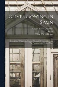 bokomslag Olive Growing In Spain