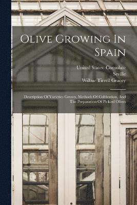 Olive Growing In Spain 1
