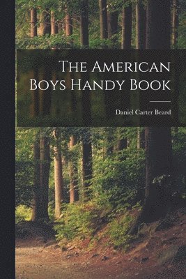 The American Boys Handy Book 1