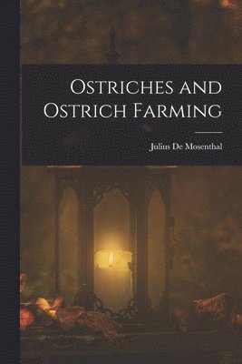 Julius De Mosenthal - Ostriches and Ostrich Farming, Häftad