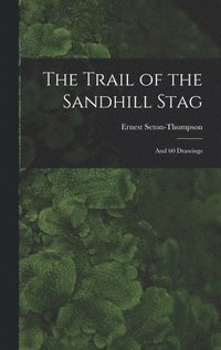 bokomslag The Trail of the Sandhill Stag