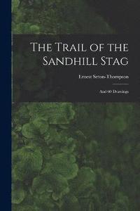 bokomslag The Trail of the Sandhill Stag