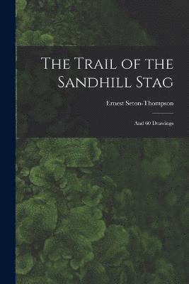 bokomslag The Trail of the Sandhill Stag