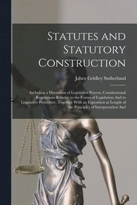 bokomslag Statutes and Statutory Construction
