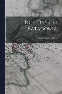 bokomslag Idle Days in Patagonia
