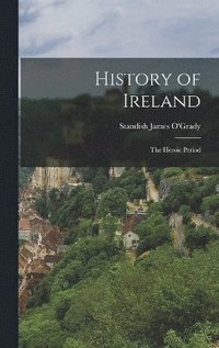 bokomslag History of Ireland