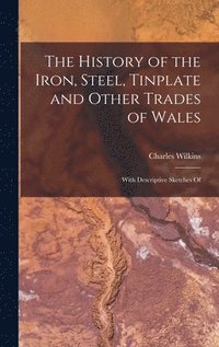 bokomslag The History of the Iron, Steel, Tinplate and Other Trades of Wales