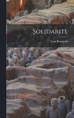 bokomslag Solidarite