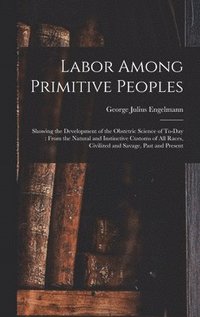 bokomslag Labor Among Primitive Peoples