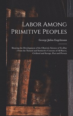 Labor Among Primitive Peoples 1