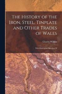 bokomslag The History of the Iron, Steel, Tinplate and Other Trades of Wales