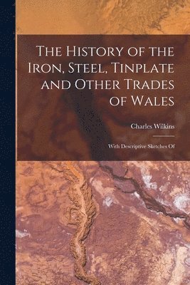 bokomslag History of the Iron, Steel, Tinplate and Other Trades of Wales