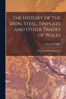 bokomslag The History of the Iron, Steel, Tinplate and Other Trades of Wales