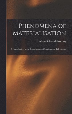 bokomslag Phenomena of Materialisation