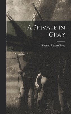 bokomslag A Private in Gray