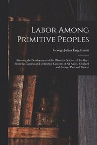 bokomslag Labor Among Primitive Peoples