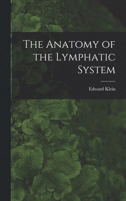 The Anatomy of the Lymphatic System 1