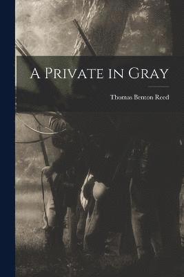 A Private in Gray 1