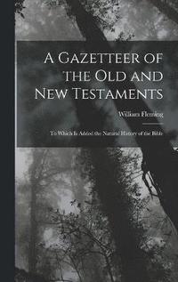 bokomslag A Gazetteer of the Old and New Testaments