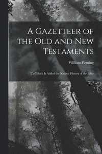 bokomslag A Gazetteer of the Old and New Testaments