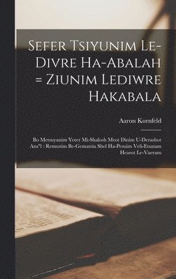 bokomslag Sefer Tsiyunim Le-divre Ha-abalah = Ziunim Lediwre Hakabala