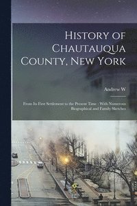 bokomslag History of Chautauqua County, New York