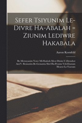 bokomslag Sefer Tsiyunim Le-divre Ha-abalah = Ziunim Lediwre Hakabala