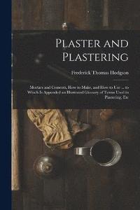 bokomslag Plaster and Plastering