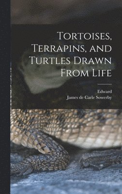 bokomslag Tortoises, Terrapins, and Turtles Drawn From Life