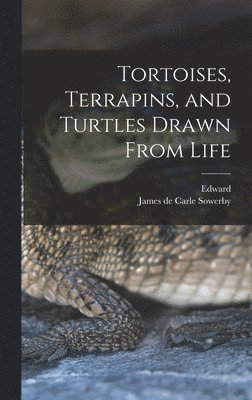 Tortoises, Terrapins, and Turtles Drawn From Life 1