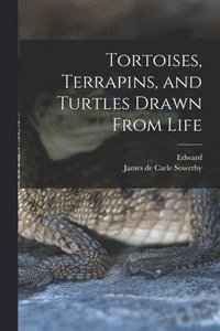 bokomslag Tortoises, Terrapins, and Turtles Drawn From Life