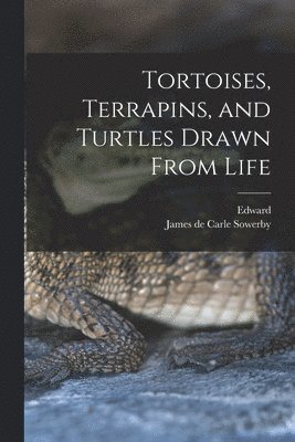 bokomslag Tortoises, Terrapins, and Turtles Drawn From Life