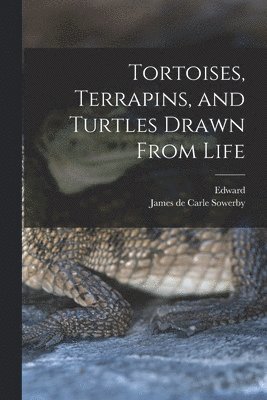 Tortoises, Terrapins, and Turtles Drawn From Life 1