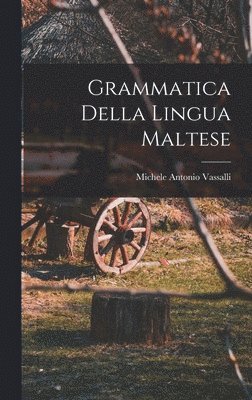 bokomslag Grammatica Della Lingua Maltese