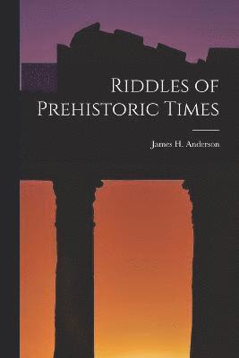 bokomslag Riddles of Prehistoric Times