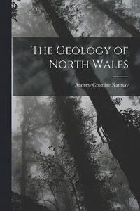 bokomslag The Geology of North Wales