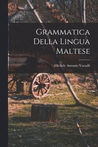bokomslag Grammatica Della Lingua Maltese