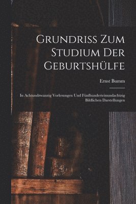 bokomslag Grundriss Zum Studium Der Geburtshlfe