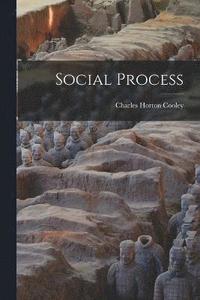 bokomslag Social Process