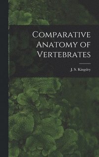 bokomslag Comparative Anatomy of Vertebrates