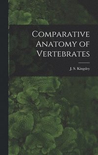 bokomslag Comparative Anatomy of Vertebrates