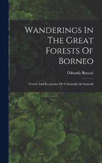 bokomslag Wanderings In The Great Forests Of Borneo