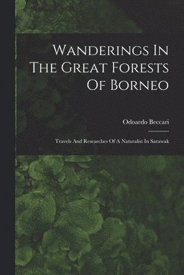 bokomslag Wanderings In The Great Forests Of Borneo