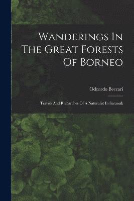 Wanderings In The Great Forests Of Borneo 1