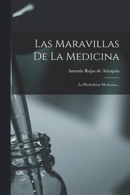 bokomslag Maravillas De La Medicina