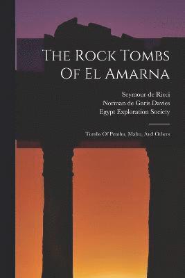 bokomslag The Rock Tombs Of El Amarna