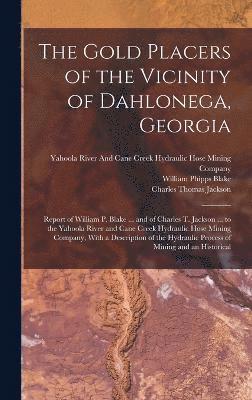 The Gold Placers of the Vicinity of Dahlonega, Georgia 1