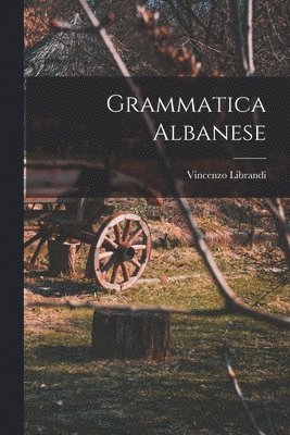 bokomslag Grammatica Albanese