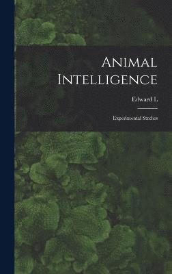 bokomslag Animal Intelligence